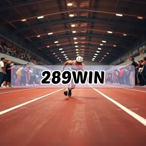 289win.com: O Destino Final para Jogadores de Bingo Online no Brasil