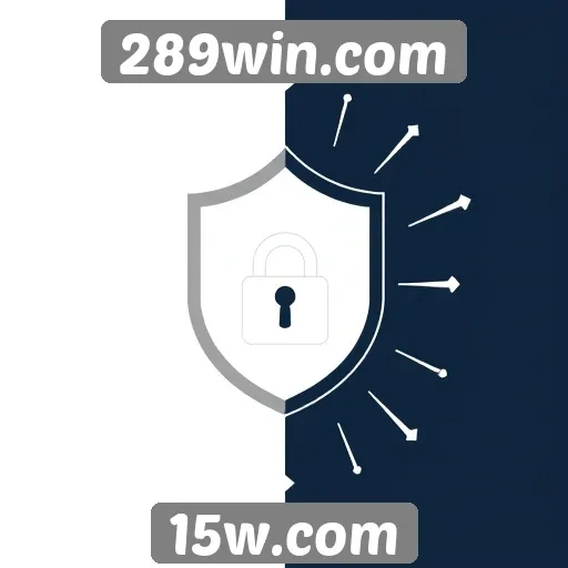 Segurança e proteção de dados no site 289win.com